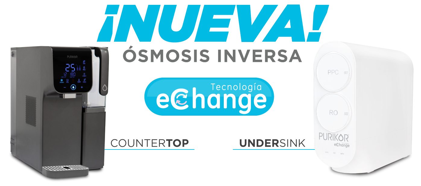 eChange-nueva